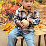 autumn_leaves, brown_shoes, casual_clothing, child, curious, cute, fall, forest, holding_object, jeans, nature, outdoor, path, plaid_shirt, portrait, seasonal, sitting, toddler, wooden_bench, young
