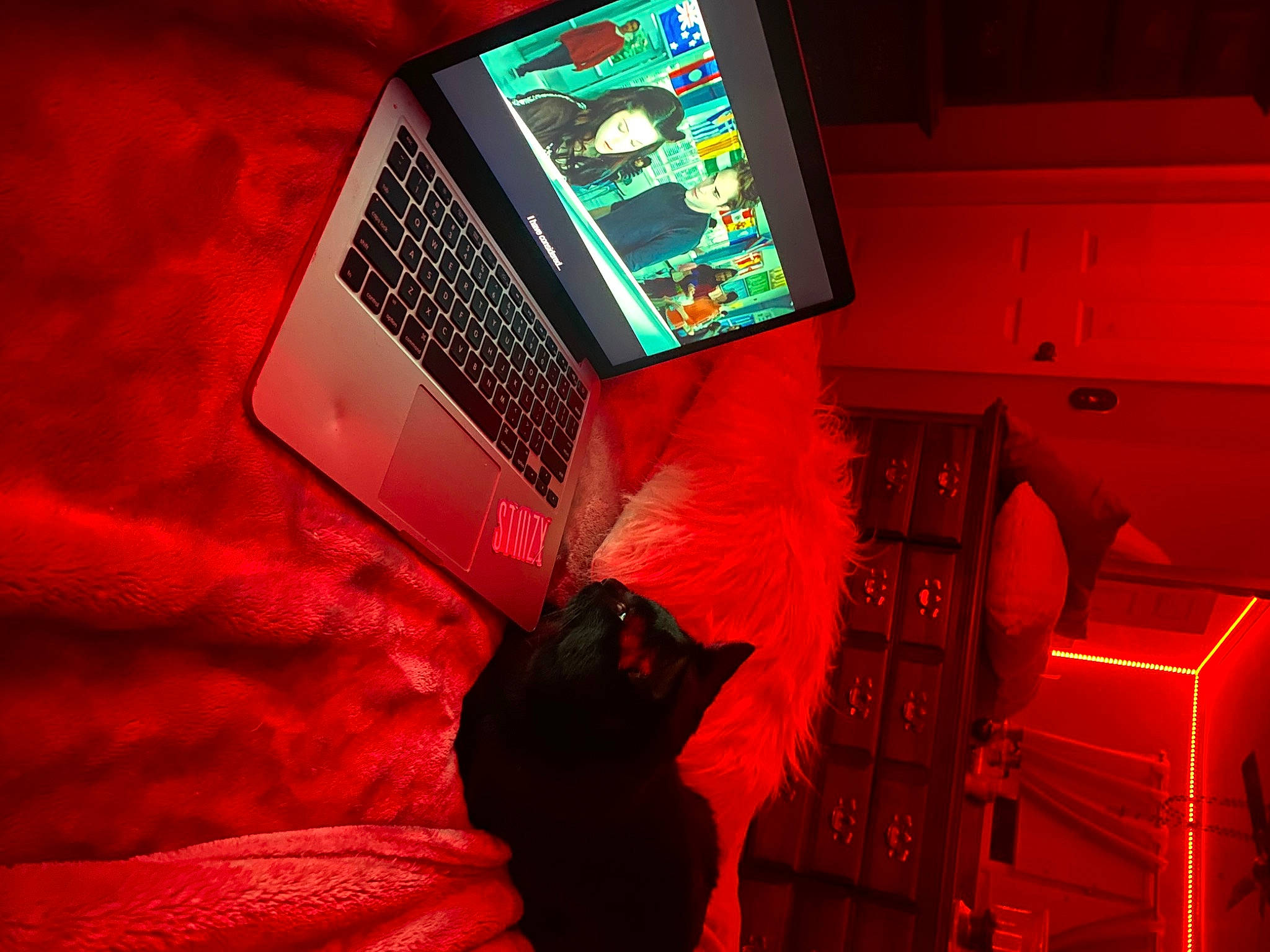 Chong is registered to the contest to win money with this photo: comfort, computer, computer_hardware, computer_keyboard, display_device, electronic_device, flat_panel_display, gadget, input_device, laptop, magenta, netbook, office_equipment, output_device, peripheral, personal_computer, space, space_bar, technology, touchpad