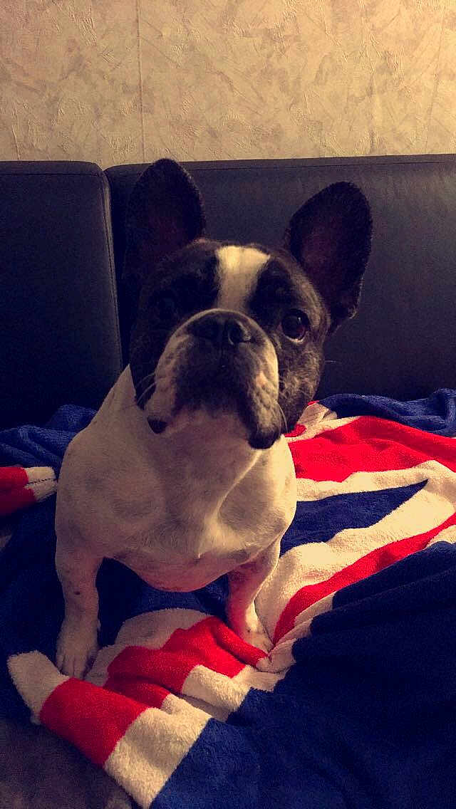 Maïko