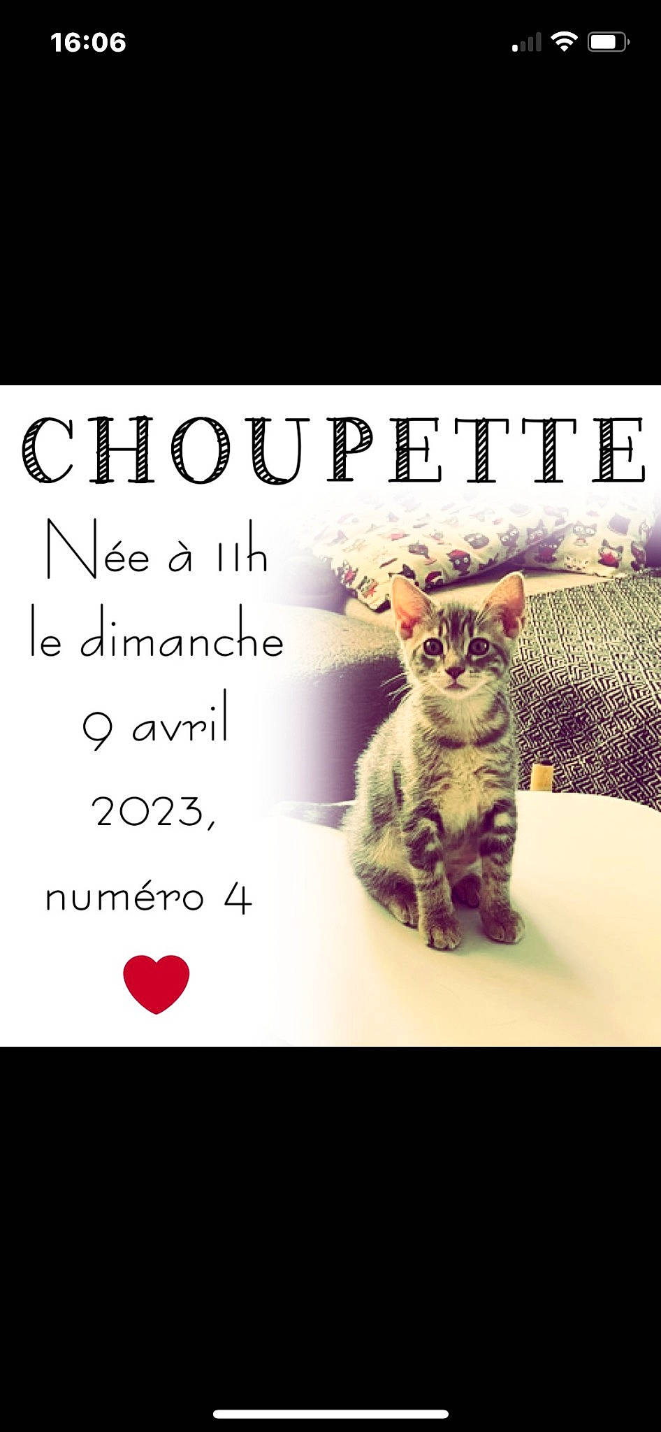 Choupette participe au concours pour gagner de l'argent avec cette photo : carnivore, cat, domestic_short_haired_cat, event, facial_expression, felidae, font, fur, graphic_design, happy, internet_meme, organism, paw, photo_caption, rectangle, sleeve, small_to_medium_sized_cats, tail, terrestrial_animal, whiskers