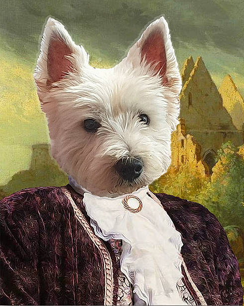 Bounty a rejoint le concours — aidez-le/la à gagner de superbes lots ! ancient_dog_breeds, art, canidae, carnivore, companion_dog, dog, dog_breed, dog_supply, fawn, fictional_character, fur, non_sporting_group, pattern, small_terrier, snout, sporting_group, terrestrial_animal, terrier, toy_dog, working_animal