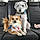 Bernie Y Tito Chance