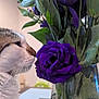 Kit participe au concours pour gagner de l'argent avec cette photo : bloom, cat, close_up, curious, domestic_animal, feline, flower, green_leaves, indoor, leaf, nature, pet, plant, purple, rose, stem, still_life, table, vase, whiskers