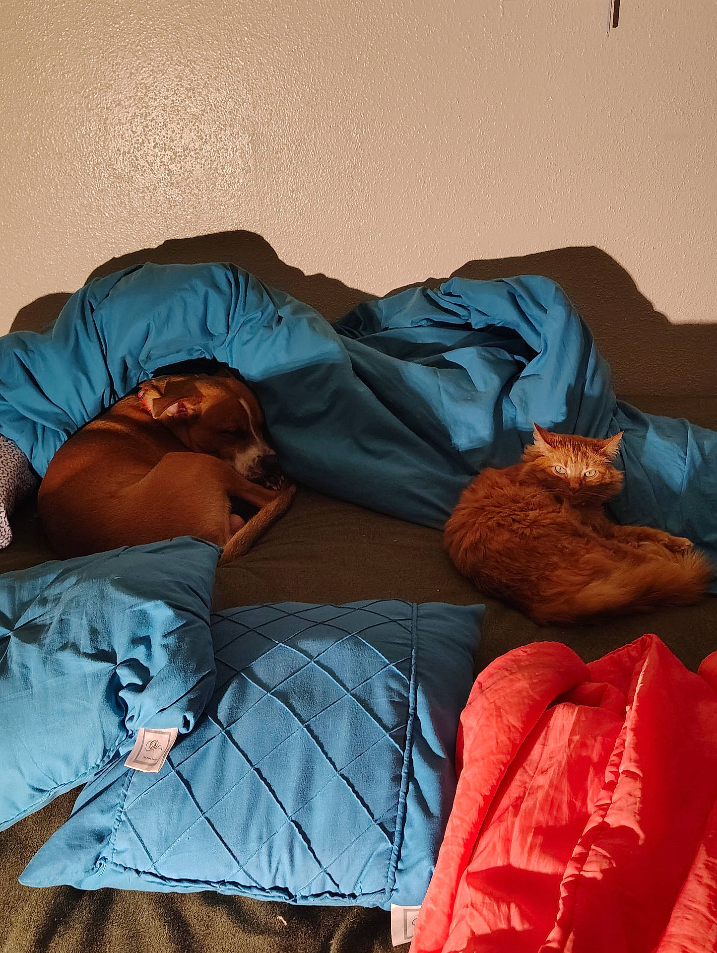 Cash Martinez Vaughn