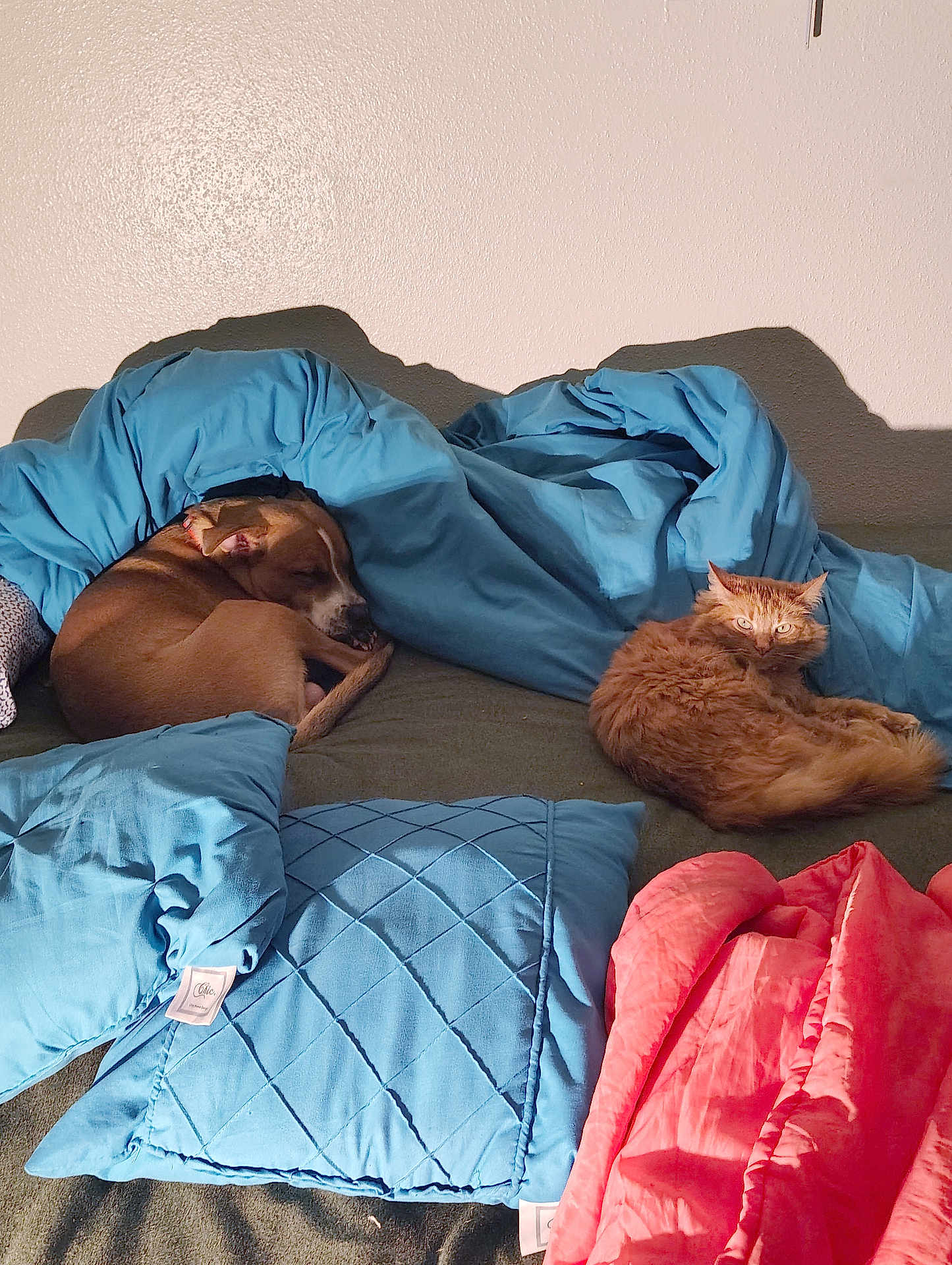 Cash Martinez Vaughn