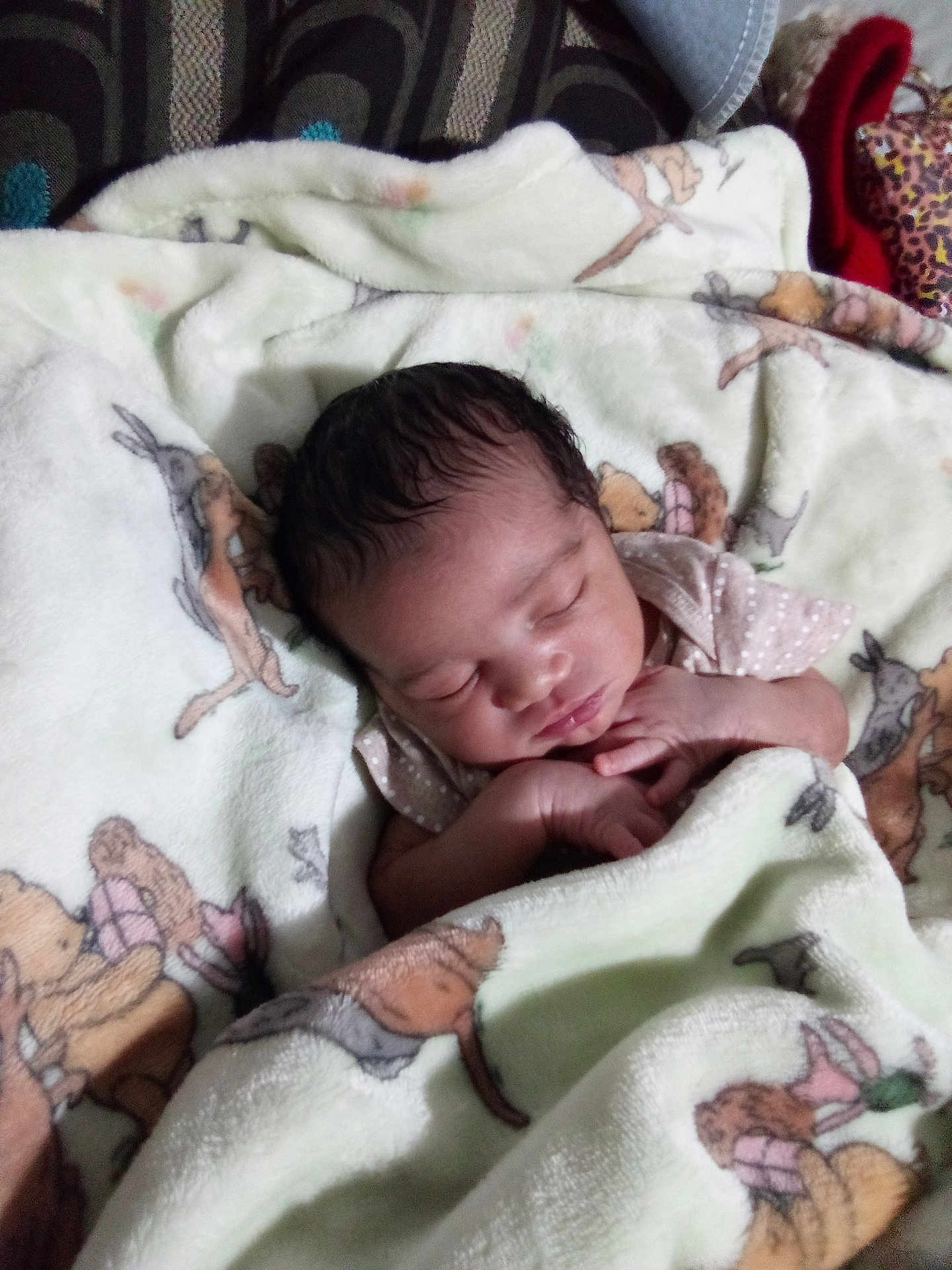 Sekanii joined the competition — help win amazing prizes! baby, newborn, sleeping, blanket, animal_print, soft, cozy, infant, cute, peaceful, hands, face, resting, indoors, child, person, portrait, warm, comfort, toddler