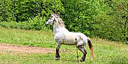 Jo participe au concours pour gagner de l'argent avec cette photo :