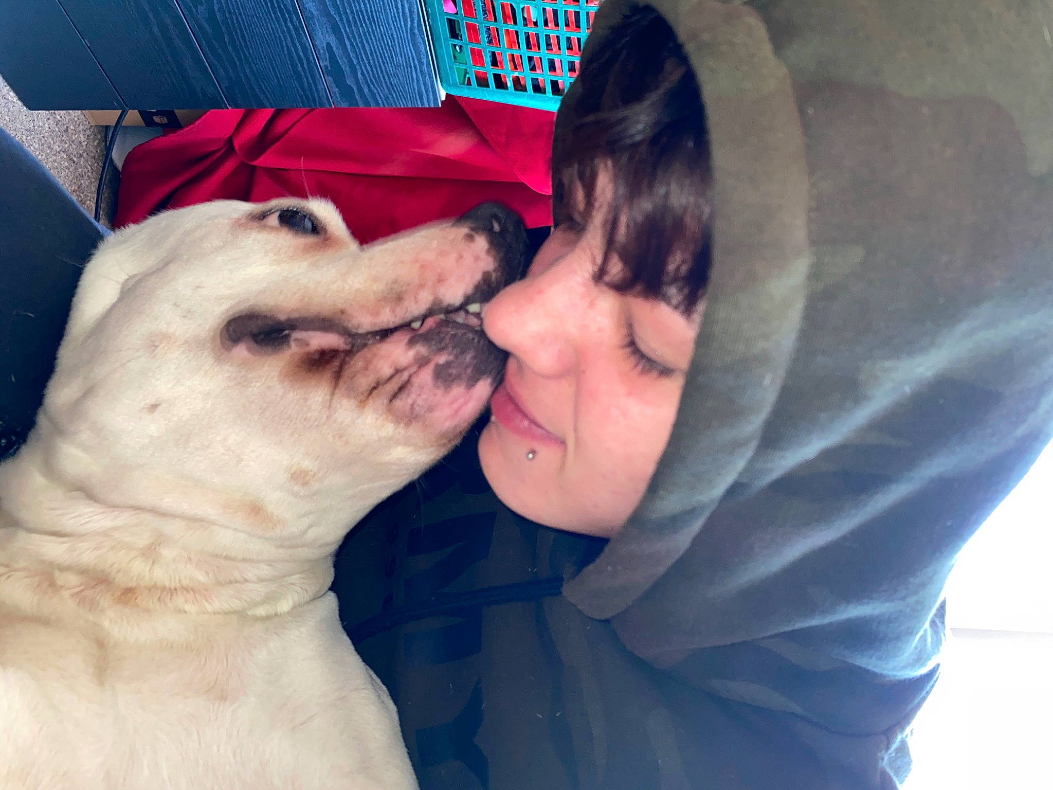 Xéna participe au concours pour gagner de l'argent avec cette photo : canidae, carnivore, companion_dog, dog, dog_breed, gesture, interaction, kiss, love, nose, photography, puppy, puppy_love, selfie, smile, sporting_group