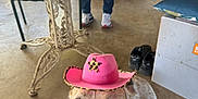 Vanilla joined the competition — help win amazing prizes! background, blur, bottle, casual, chair, concrete, cowboy_hat, cushion, dog, floor, hat, indoor, jeans, looking_up, person, pet, shoes, smiling_dog, table, watermelon