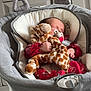 baby, sleeping, stuffed_animal, giraffe_toy, pacifier, baby_seat, red_clothing, cushion, infant, indoor, furniture, home, carpet, blanket, child, peaceful, soft_toy, face, hand, comfort