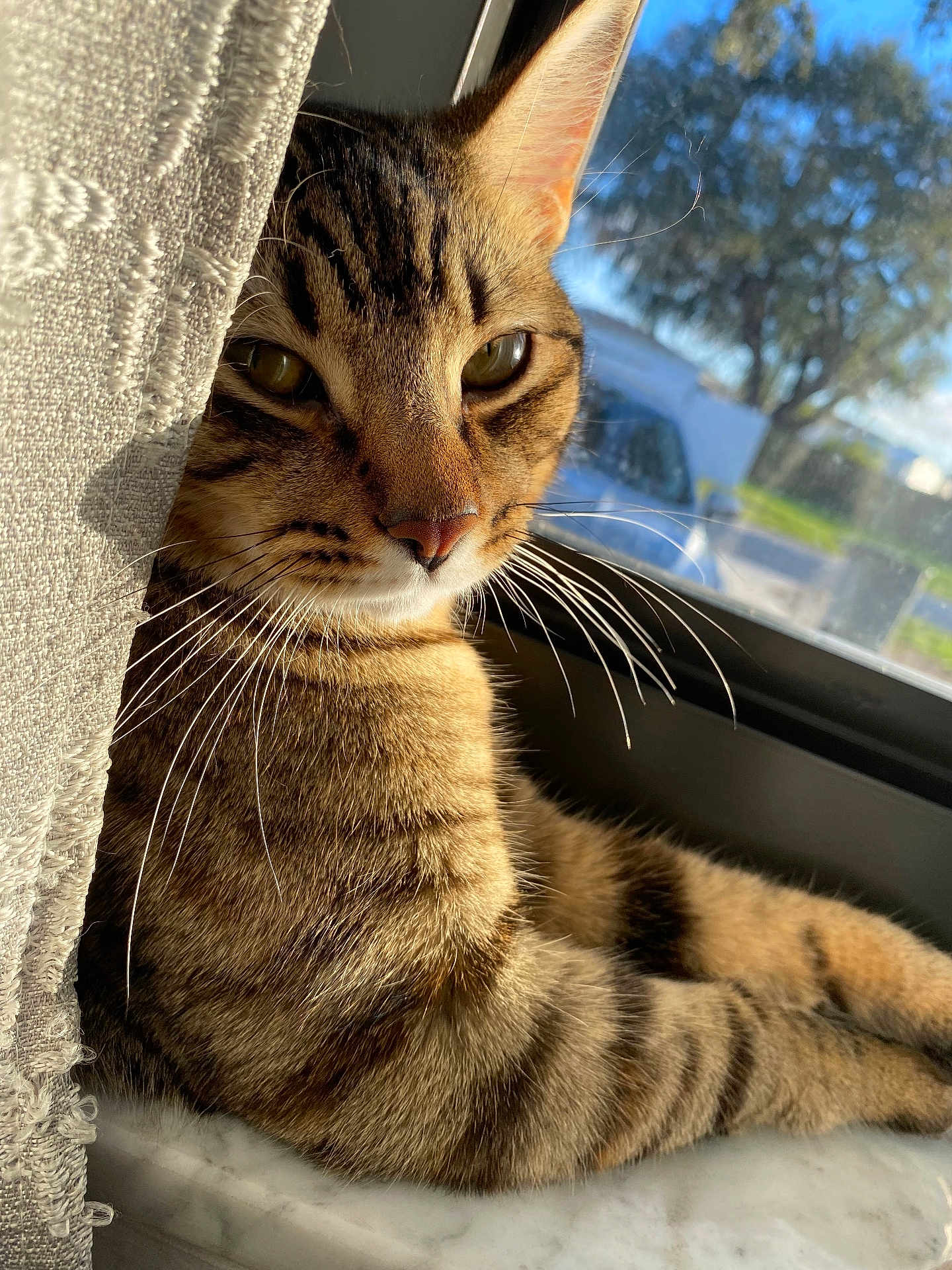 Sasha