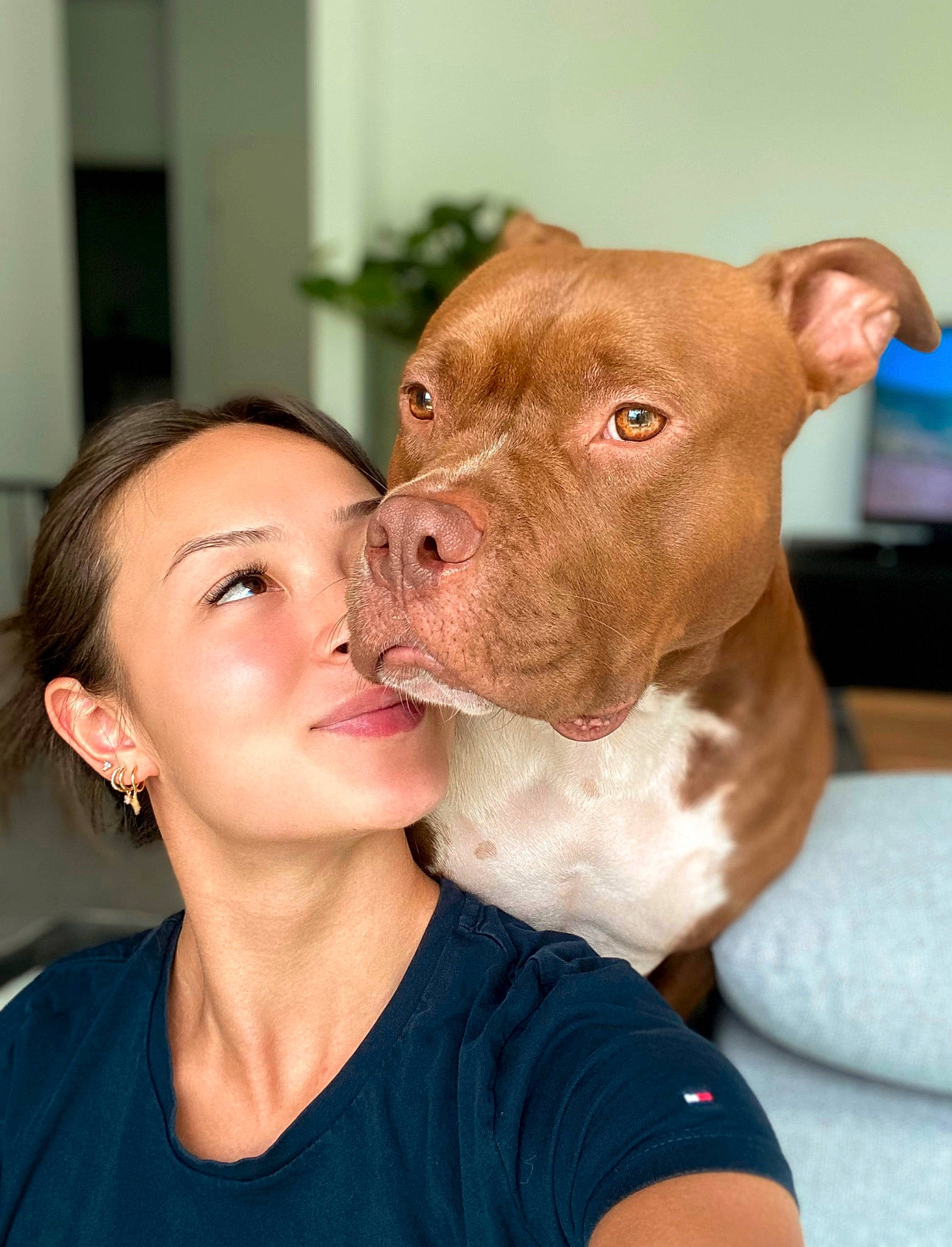 Teiko a rejoint le concours — aidez-le/la à gagner de superbes lots ! canidae, carnivore, collar, companion_dog, dog, dog_breed, ear, fawn, fur, gesture, happy, kiss, liver, plant, selfie, snout, sporting_group, t_shirt, whiskers, working_animal