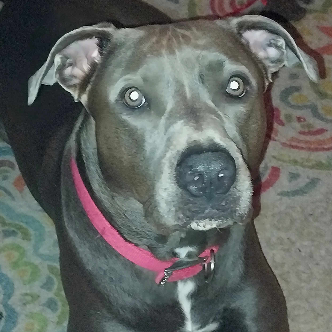Bossy Girl