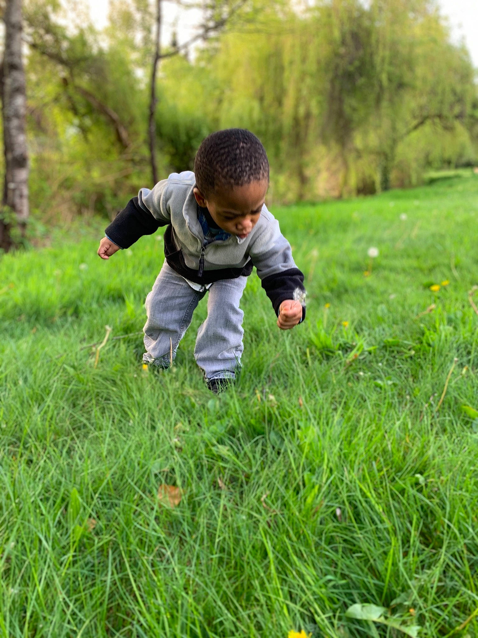 Sai joined the competition — help win amazing prizes! child, fun, grass, grass_family, grassland, green, happy, lawn, meadow, people_in_nature, person, plant, play, toddler, tree