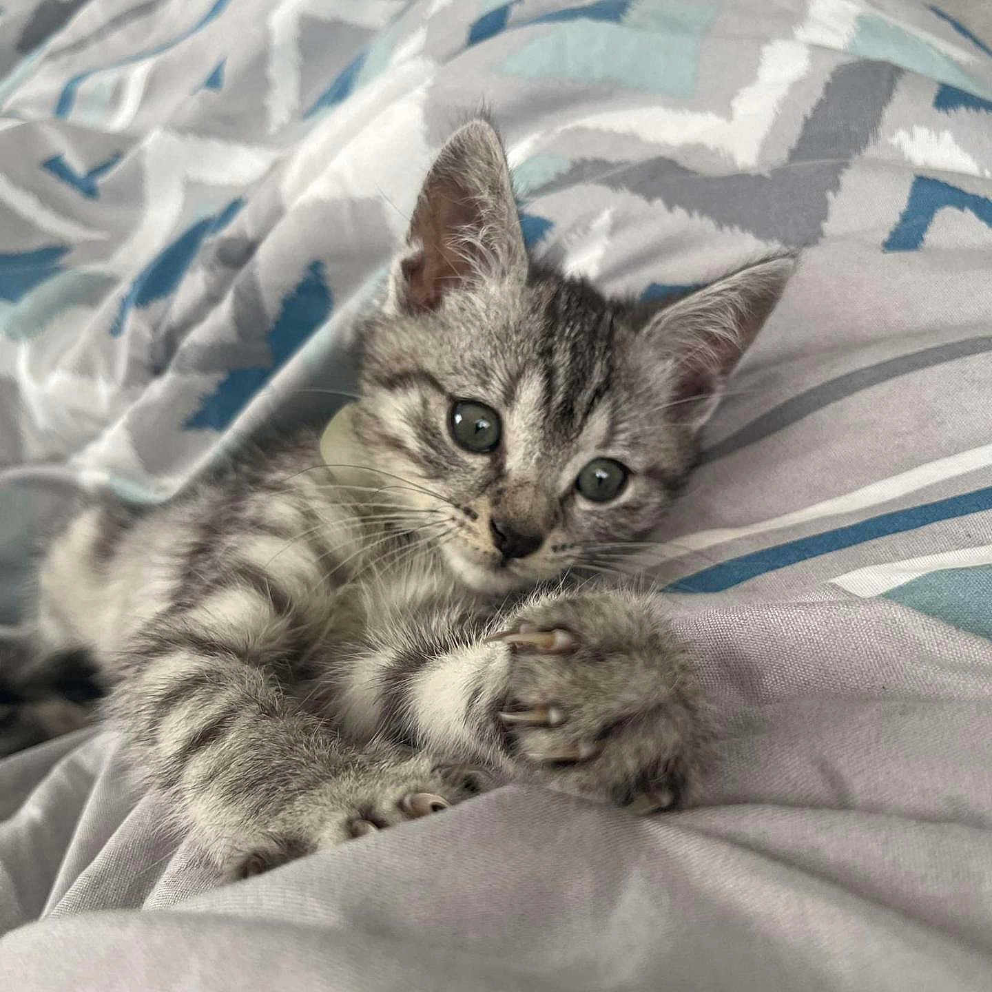 Rocky