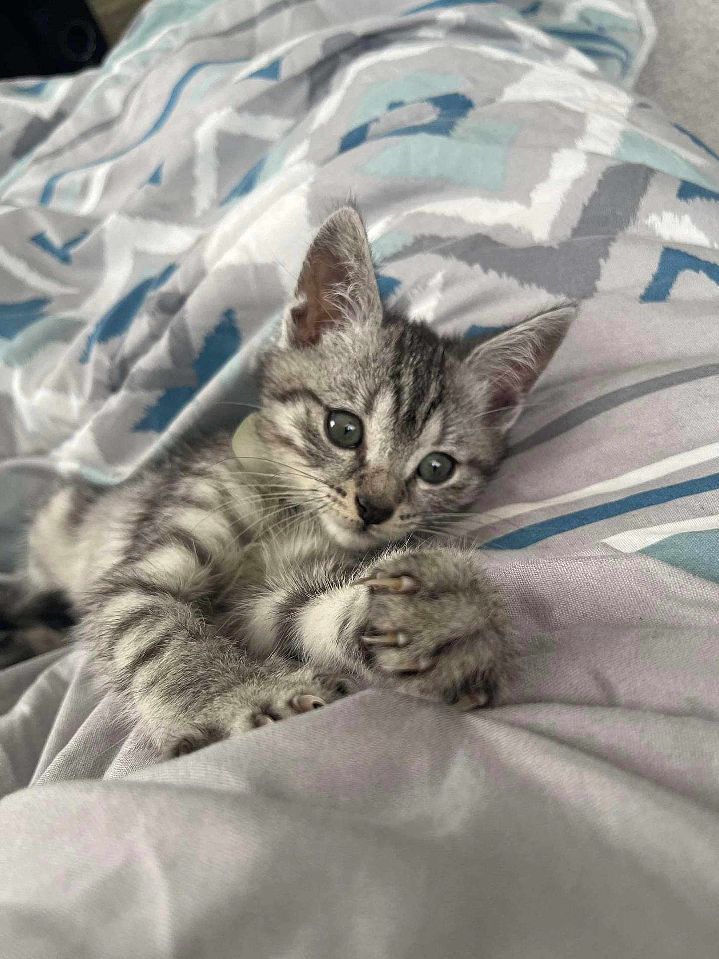Rocky