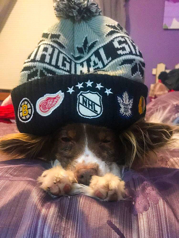 Zach joined the competition — help win amazing prizes! baseball_cap, cap, fashion_accessory, hat, headgear