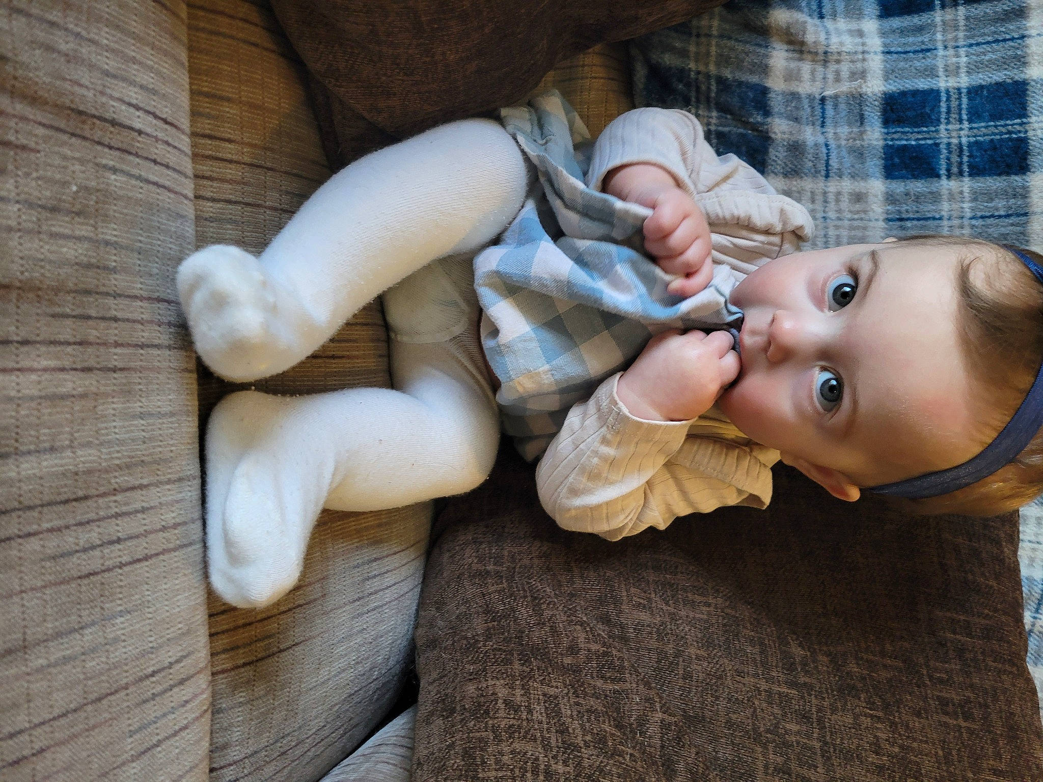 Sadie joined the competition — help win amazing prizes! baby, baby_toddler_clothing, cheek, child, comfort, finger, flooring, fur, glasses, grass, headgear, human_body, human_leg, leg, nose, person, sitting, thigh, toddler, tree