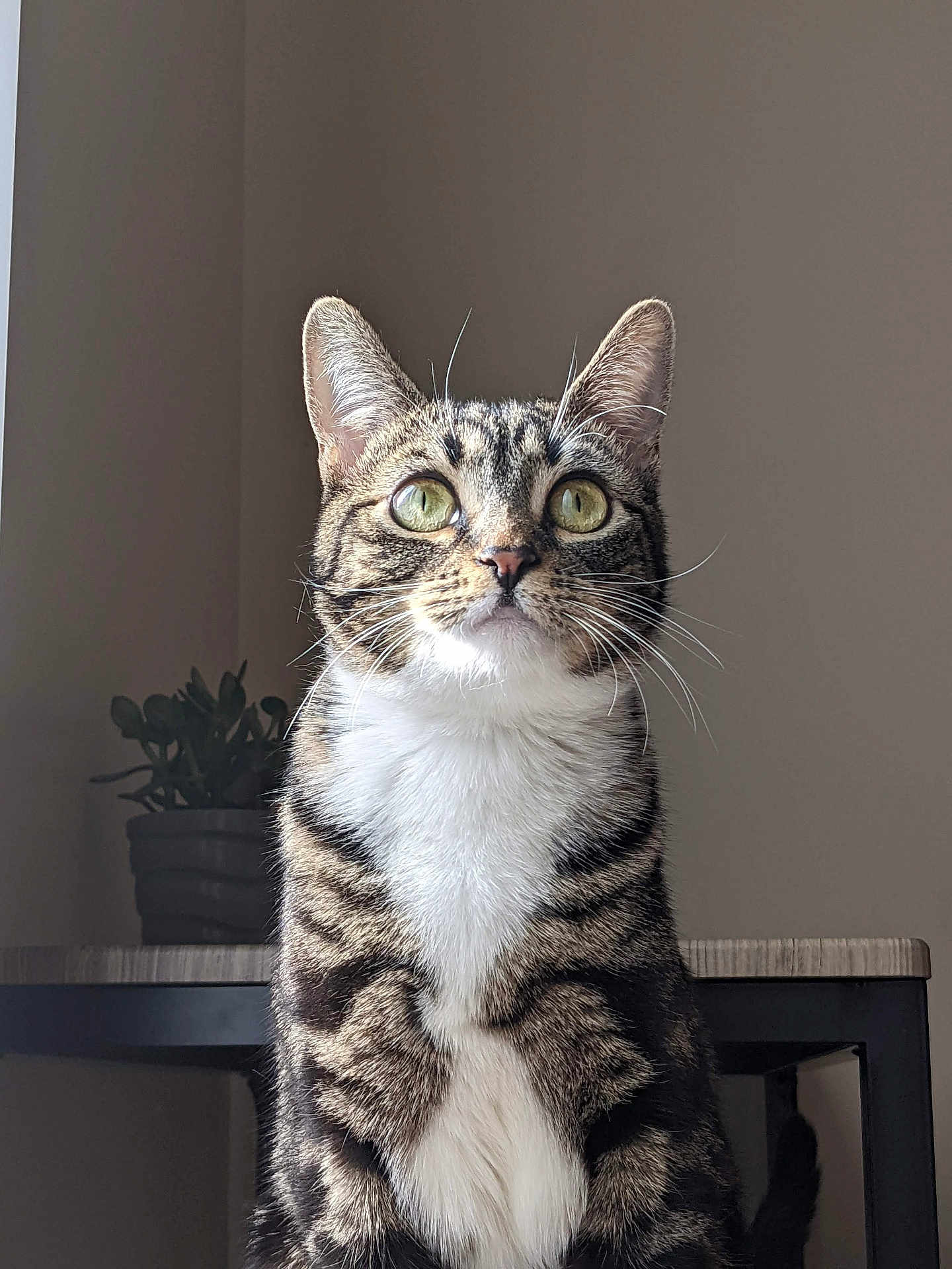 Kayden