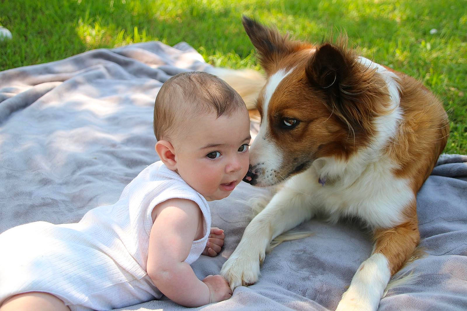Elyo a rejoint le concours — aidez-le/la à gagner de superbes lots ! baby, canidae, carnivore, companion_dog, dog, dog_breed, fawn, fun, fur, grass, happy, leisure, people_in_nature, person, plant, recreation, sitting, sporting_group, toddler, whiskers