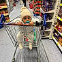 baby, shopping_cart, supermarket, child, pacifier, beanie, clothing, aisle, shelves, canned_goods, snacks, floor, person, shopping, retail, indoor, toy, footwear, hat, curious