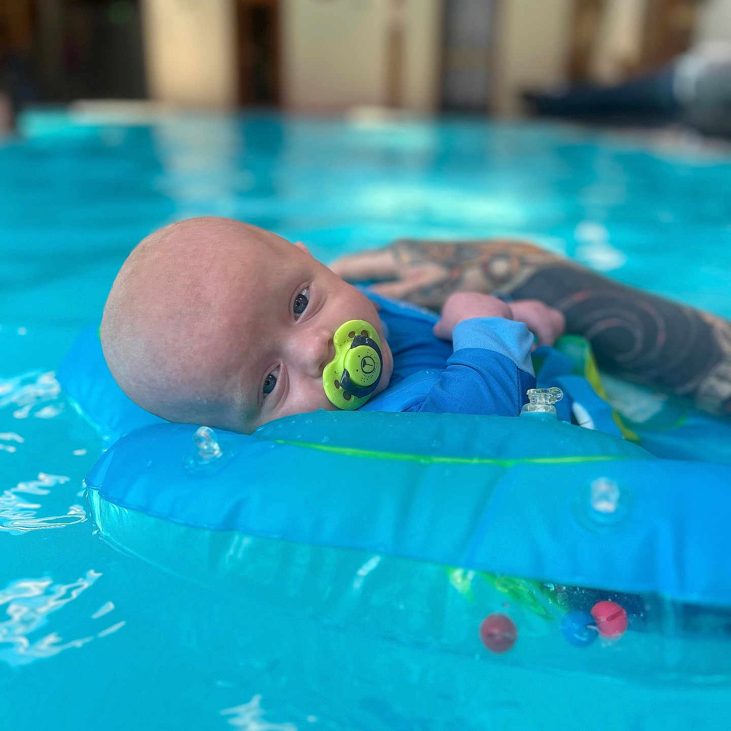 Koda-Bear joined the competition — help win amazing prizes! arm, baby, blue_clothing, calm, child, closeup, float, indoor_pool, infant, inflatable_ring, pacifier, person, pool, portrait, relaxation, support, swimming, tattoo, water, water_sport