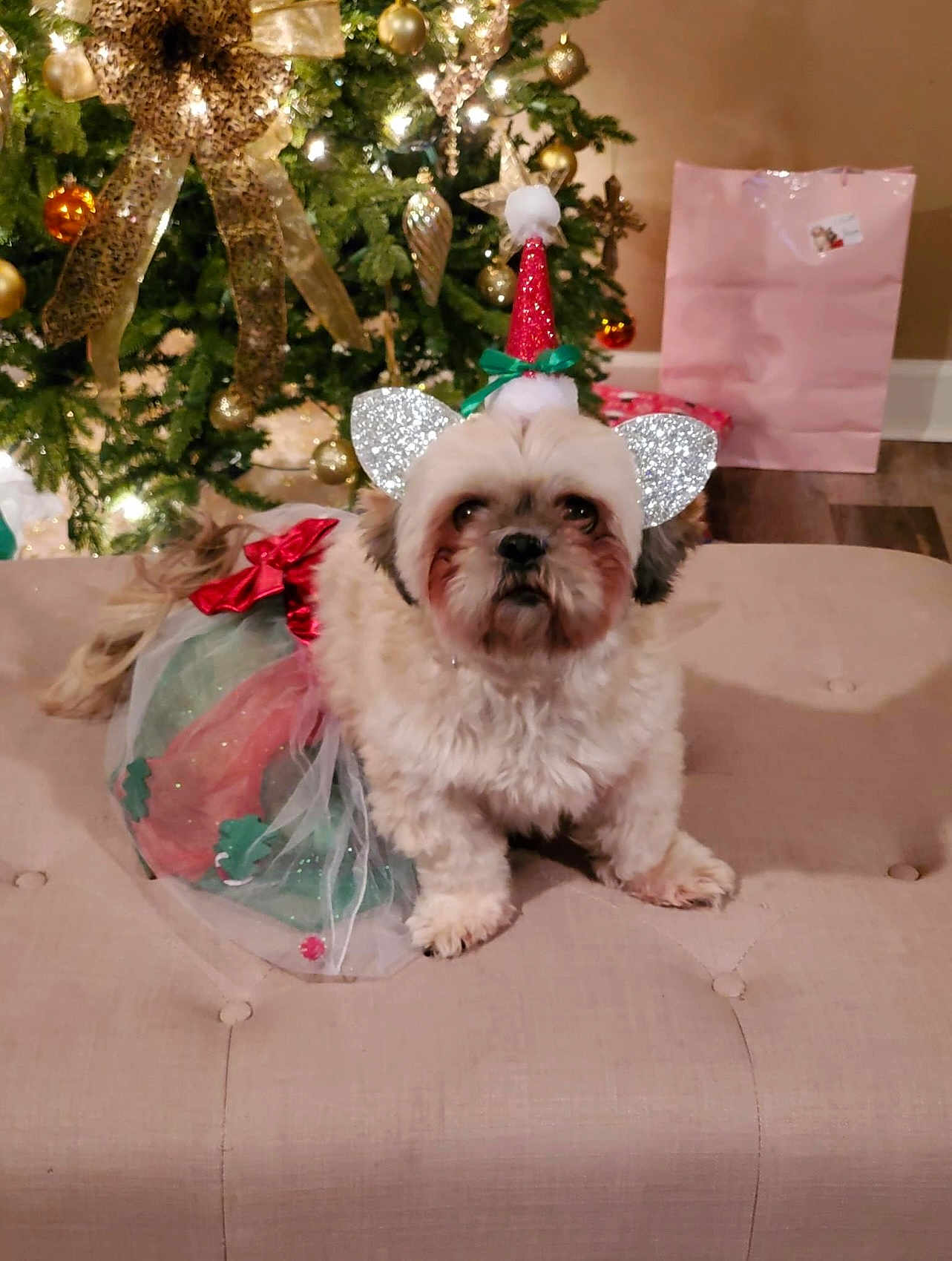 Chloe