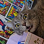 abyssinian, advertisement, animal, art, book, box, cat, collage, comics, envelope, greetingcard, indoors, interiordesign, kitten, mail, manx, person, pet, poster, publication