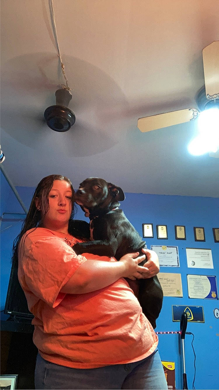 Zeus is registered to the contest to win money with this photo: audio_equipment, ceiling, dog, electric_blue, event, fun, fur, leisure, light_fixture, lighting, magenta, mechanical_fan, party, performance, purple, room, standing, t_shirt, youth