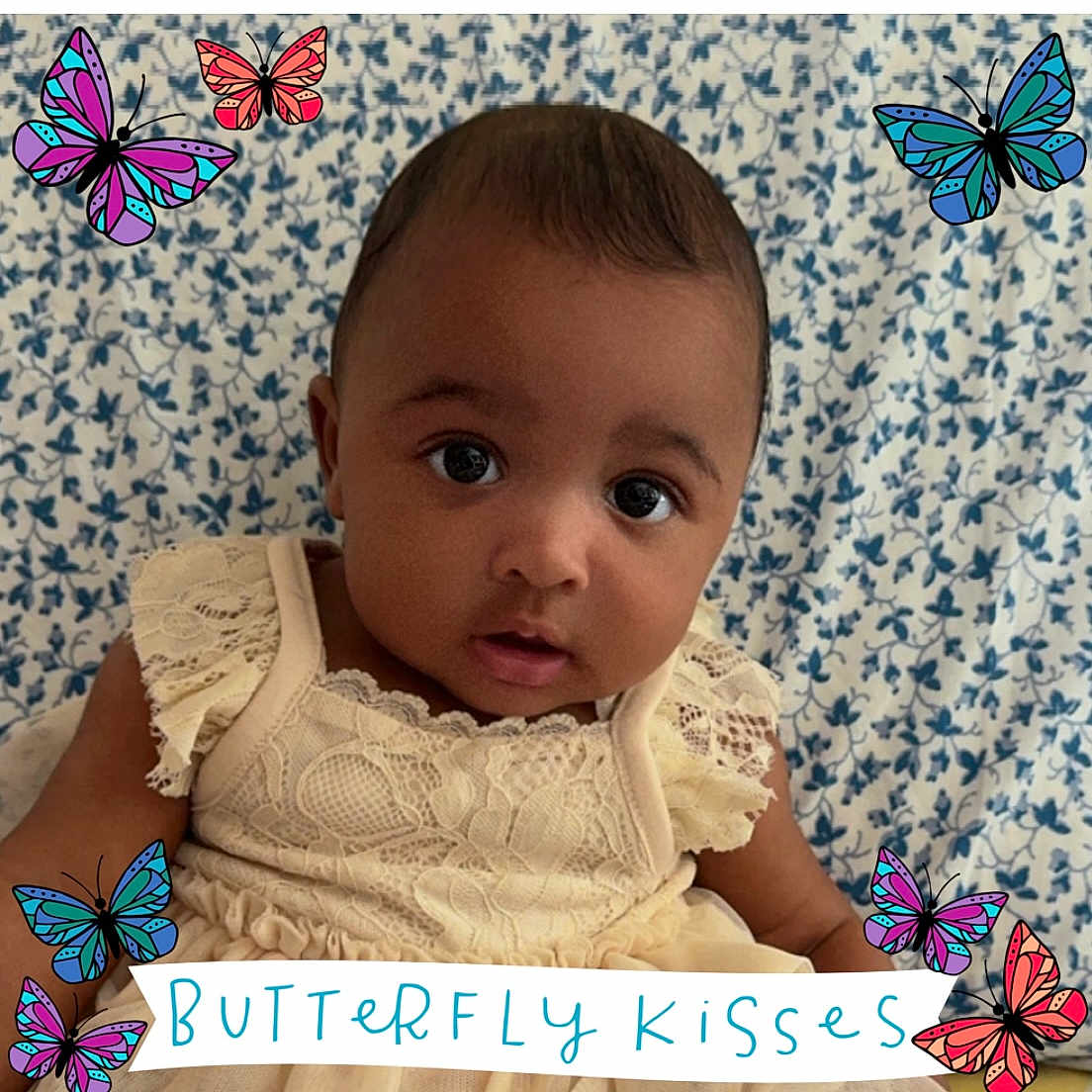 Kimora is registered to the contest to win money with this photo: accessories, animal, baby, butterfly, clothing, daisy, dress, face, flower, head, insect, invertebrate, monarch, person, petal, photography, plant, portrait, purple, toy