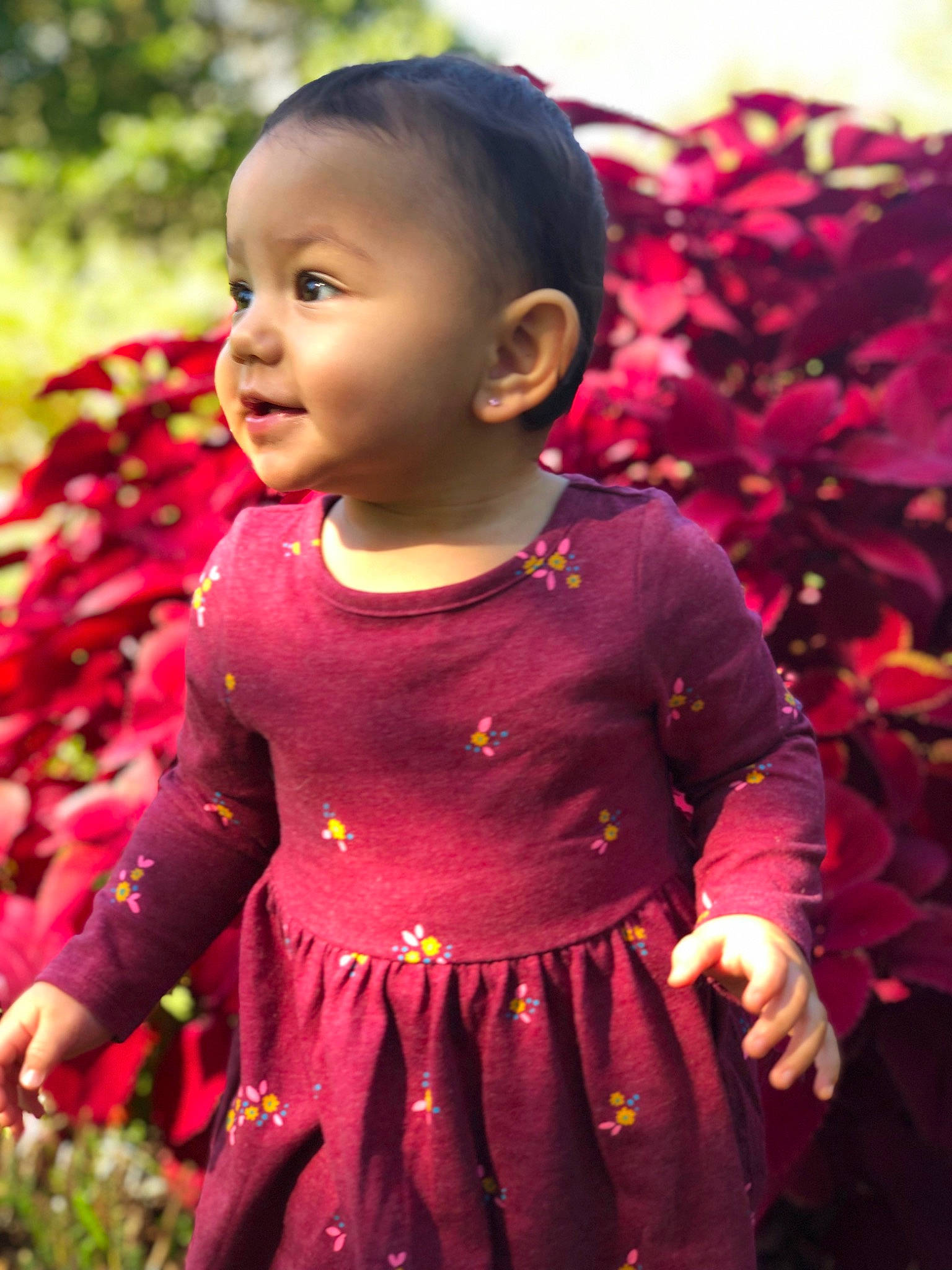 Miya is registered to the contest to win money with this photo: baby, baby_toddler_clothing, botany, cheek, dress, face, grass, happy, leaf, lip, people_in_nature, person, pink, plant, purple, red, skin, sleeve, smile, standing