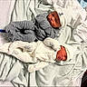 baby, bed, blanket, clothing, cozy, cute, hat, healthcare, indoor, infant, newborn, newborn_baby, onesie, peaceful, person, portrait, rest, sleeping, soft, twin