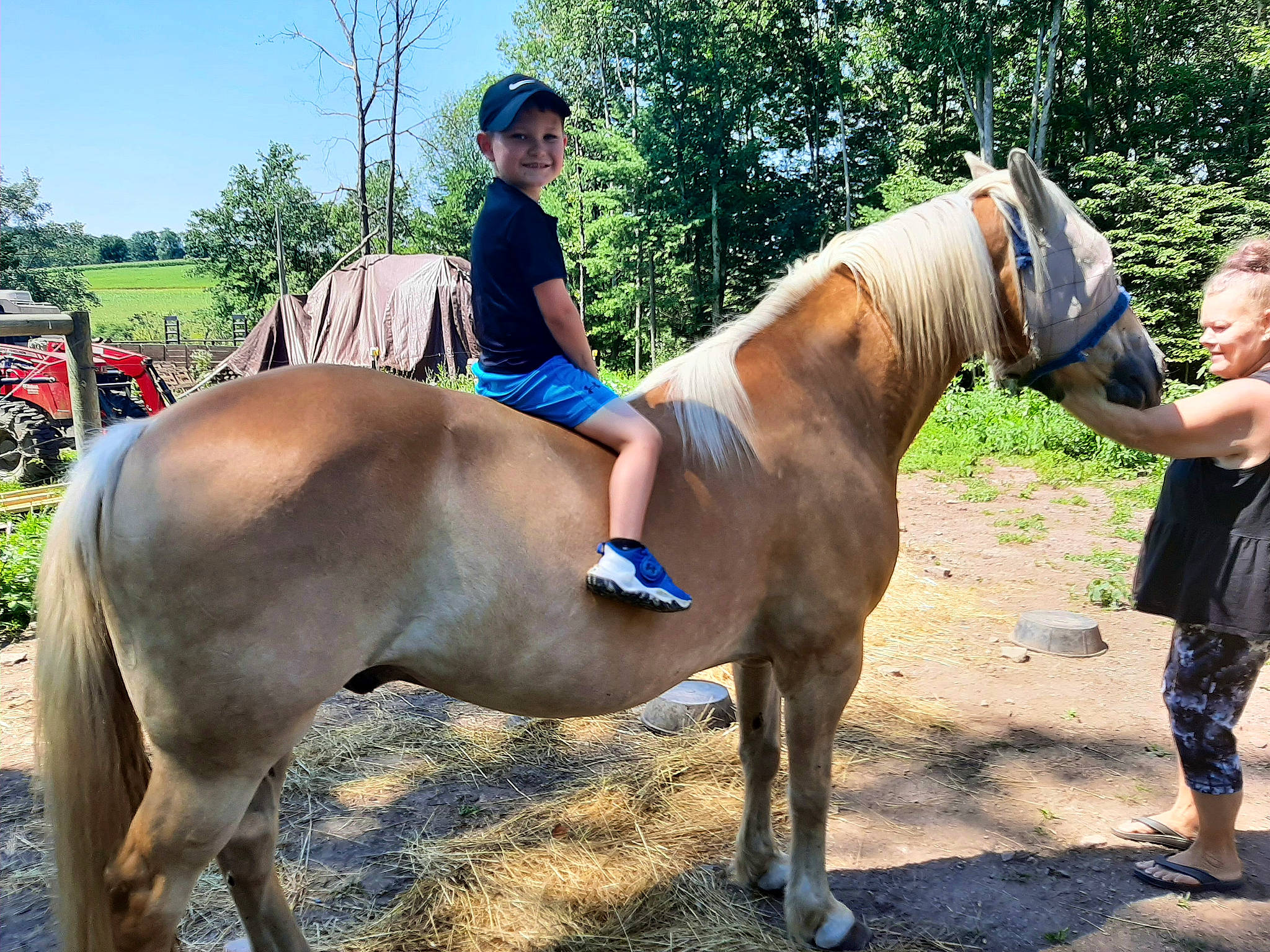 Easton joined the competition — help win amazing prizes! bit, bridle, equestrian_sport, equestrianism, event, hat, headwear, horse, horse_supplies, horse_tack, joy, landscape, livestock, mane, pack_animal, person, rein, saddle, sky, snout