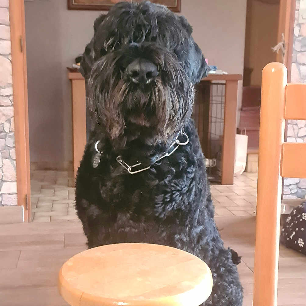 Sirius Black