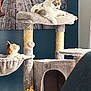 animal, blue_wall, cat, cat_tree, cozy, domestic, furniture, hammock, indoor, looking_up, lounging, perch, pet, playful, relaxing, resting, teddy_bear, toy, wall_art, wooden_bridge