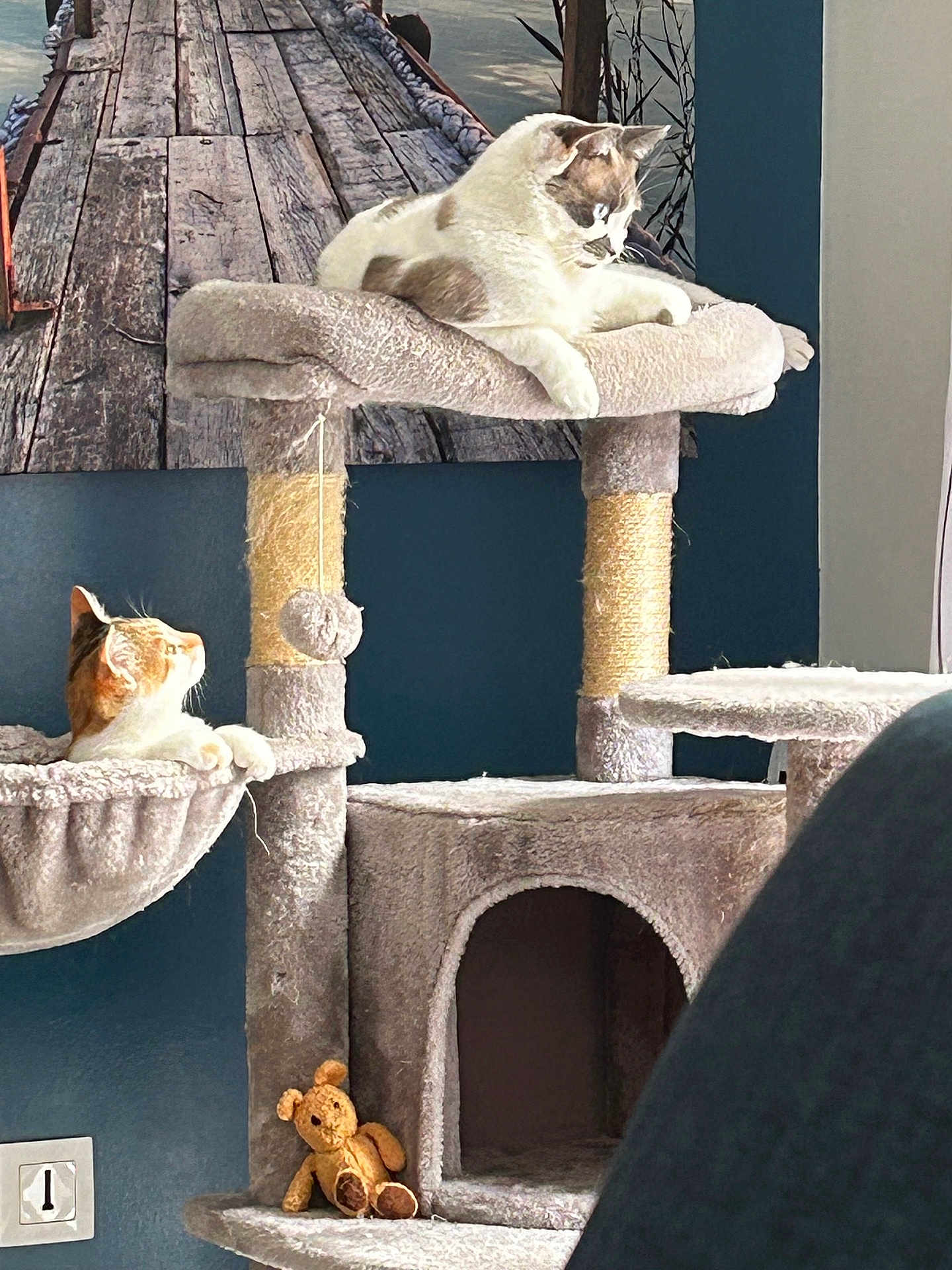 Selena Et Lila