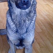 Ilthon participe au concours pour gagner de l'argent avec cette photo :