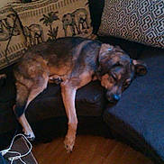 Aron participe au concours pour gagner de l'argent avec cette photo :