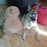 Heden a rejoint le concours — aidez-le/la à gagner de superbes lots !