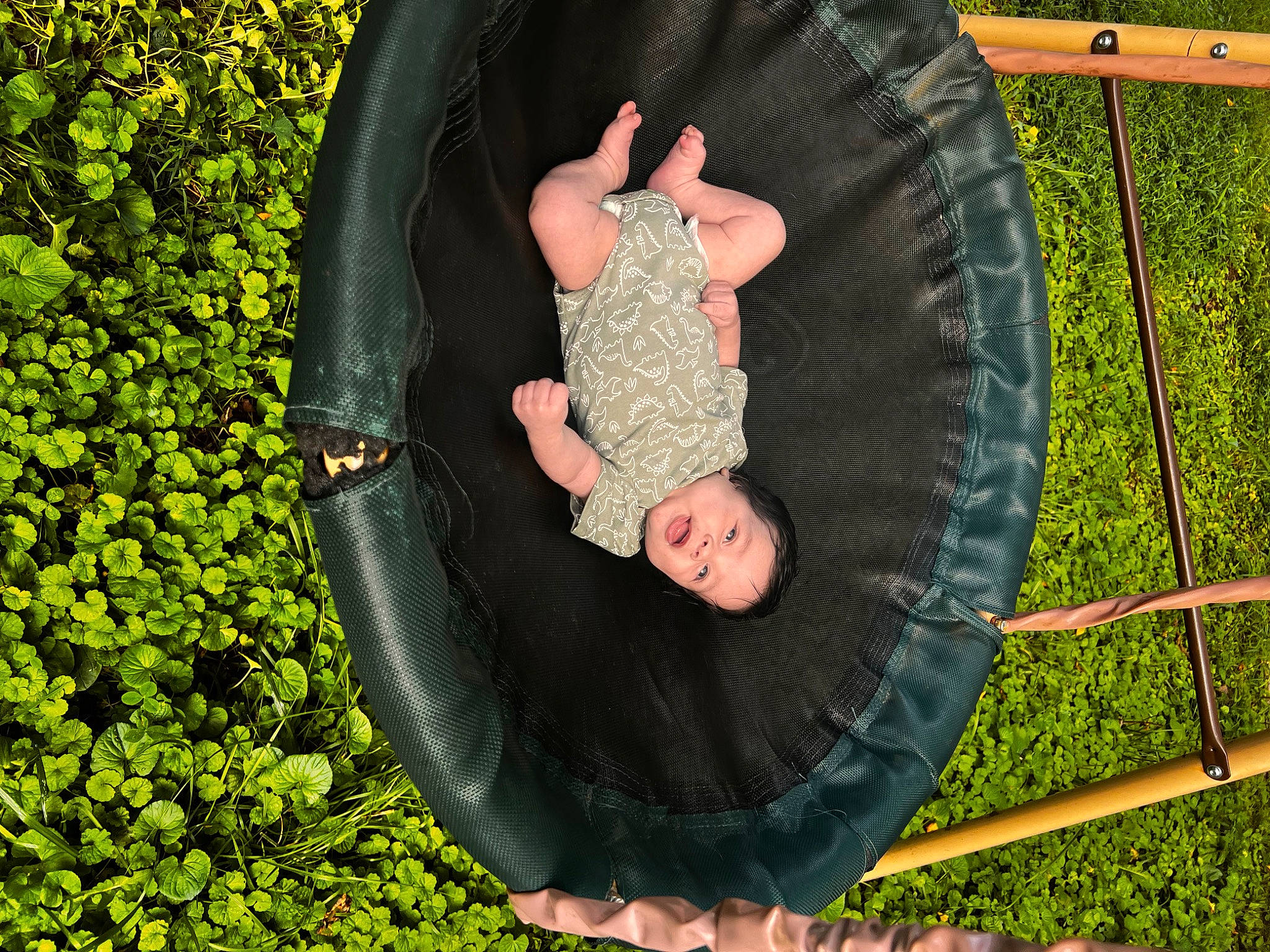 Emery is registered to the contest to win money with this photo: automotive_tire, automotive_wheel_system, botany, circle, fun, garden, grass, happy, lawn, leaf, leisure, pattern, people_in_nature, person, plant, recreation, shrub, smile, symmetry, terrestrial_plant