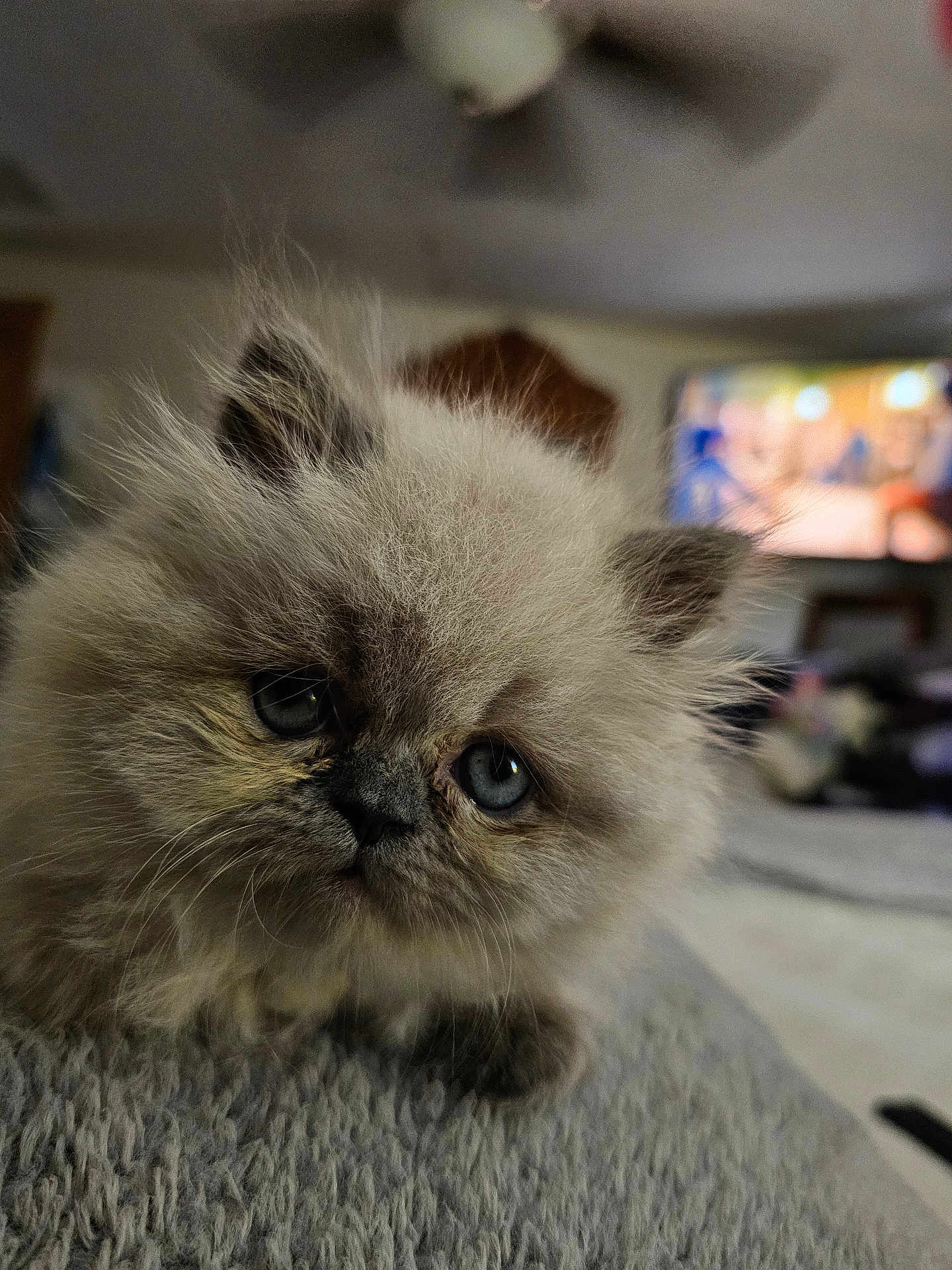 Simba