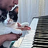 cat, person, piano, keyboard, indoor, black_and_white_cat, pet, curious, holding, musical_instrument, hand, face, curtain, window, light, closeup, domestic_animal, playing, music, gentle