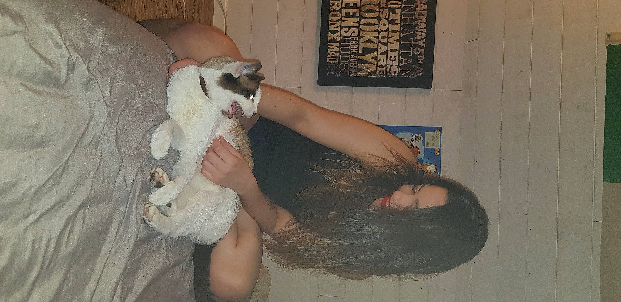 Tweety participe au concours pour gagner de l'argent avec cette photo : abdomen, cat, chest, comfort, companion_dog, elbow, fawn, felidae, foot, fur, gesture, human_leg, knee, picture_frame, small_to_medium_sized_cats, tail, thigh, trunk, whiskers, wrist