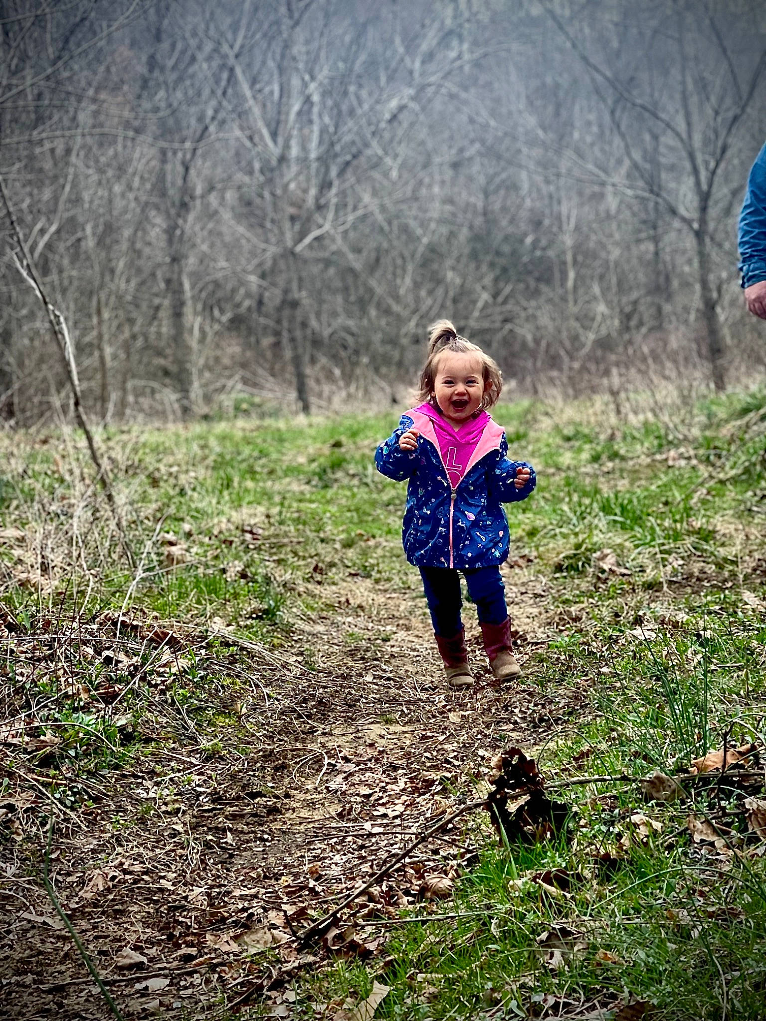 Bristol is registered to the contest to win money with this photo: branch, forest, grass, grass_family, grassland, happy, landscape, meadow, morning, natural_landscape, people_in_nature, person, plant, plant_community, recreation, sunlight, toddler, tree, wood, woodland