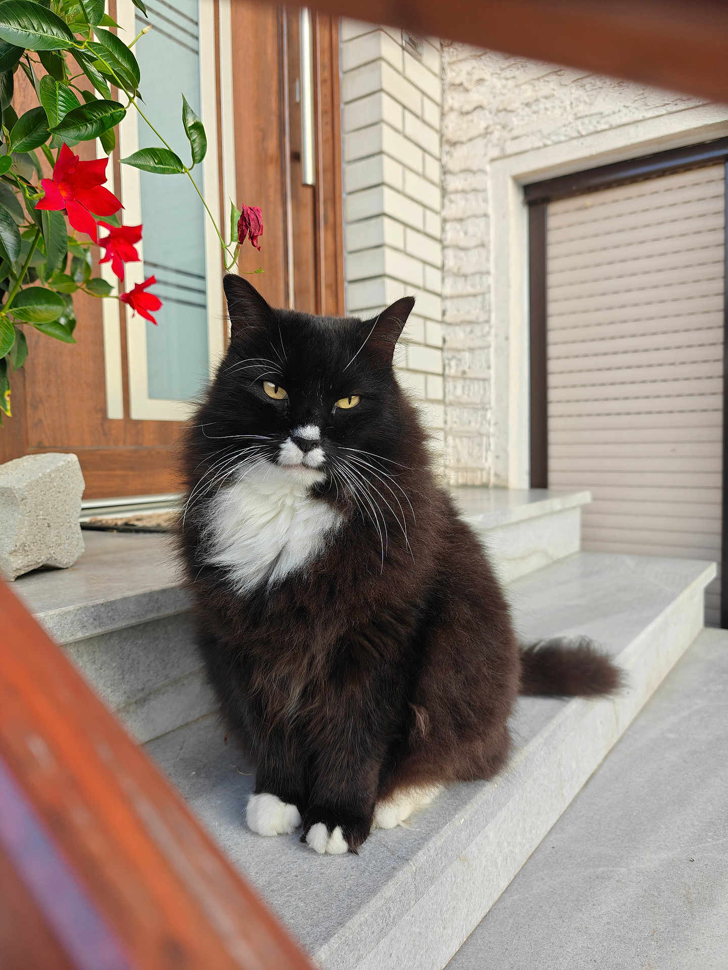 Piki
