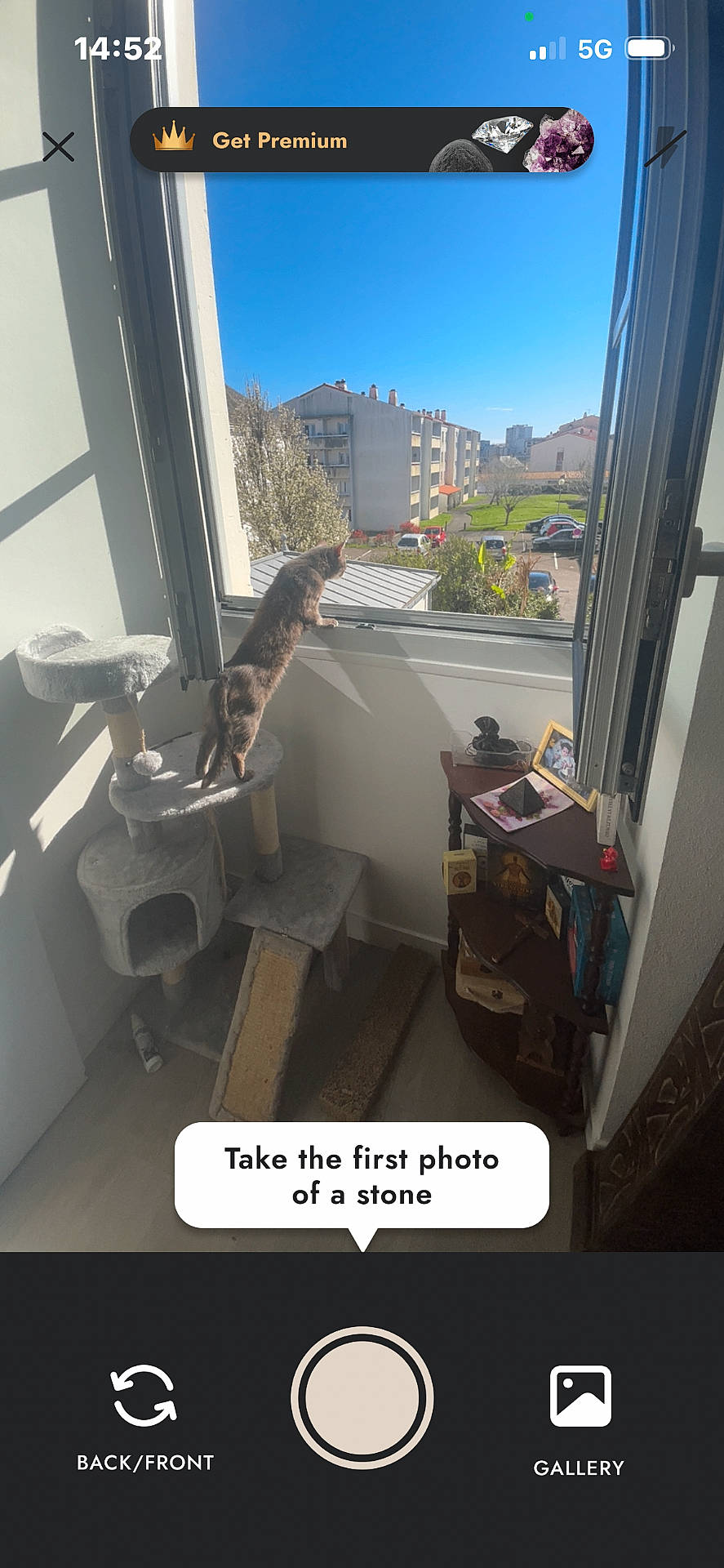Baloo a rejoint le concours — aidez-le/la à gagner de superbes lots ! building, cat, cat_tree, curious, daytime, furniture, home, indoor, interior, mobile_screen, outdoor, pet, photo_app, prompt, screen, sky, sunlight, technology, tree, window