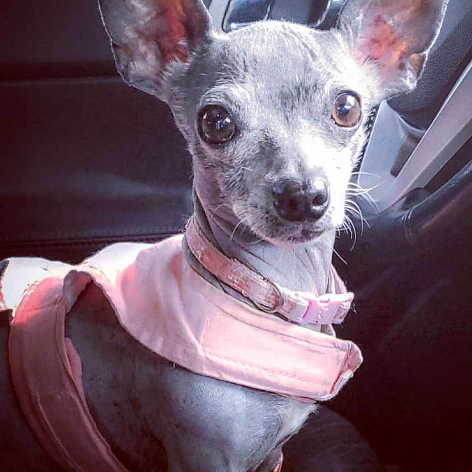 Loulou Annabelle