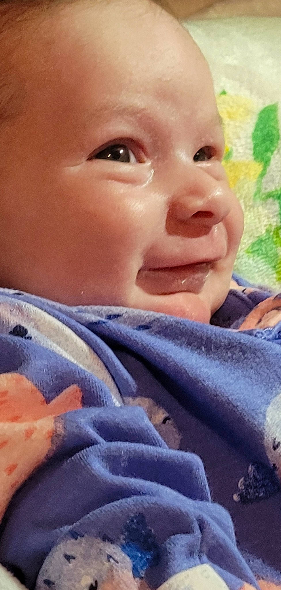 Alanna is registered to the contest to win money with this photo: baby, close_up, eye, eyelash, finger, gesture, grass, happy, human_body, iris, jaw, lip, nail, nose, person, skin, smile, thumb, toddler, window