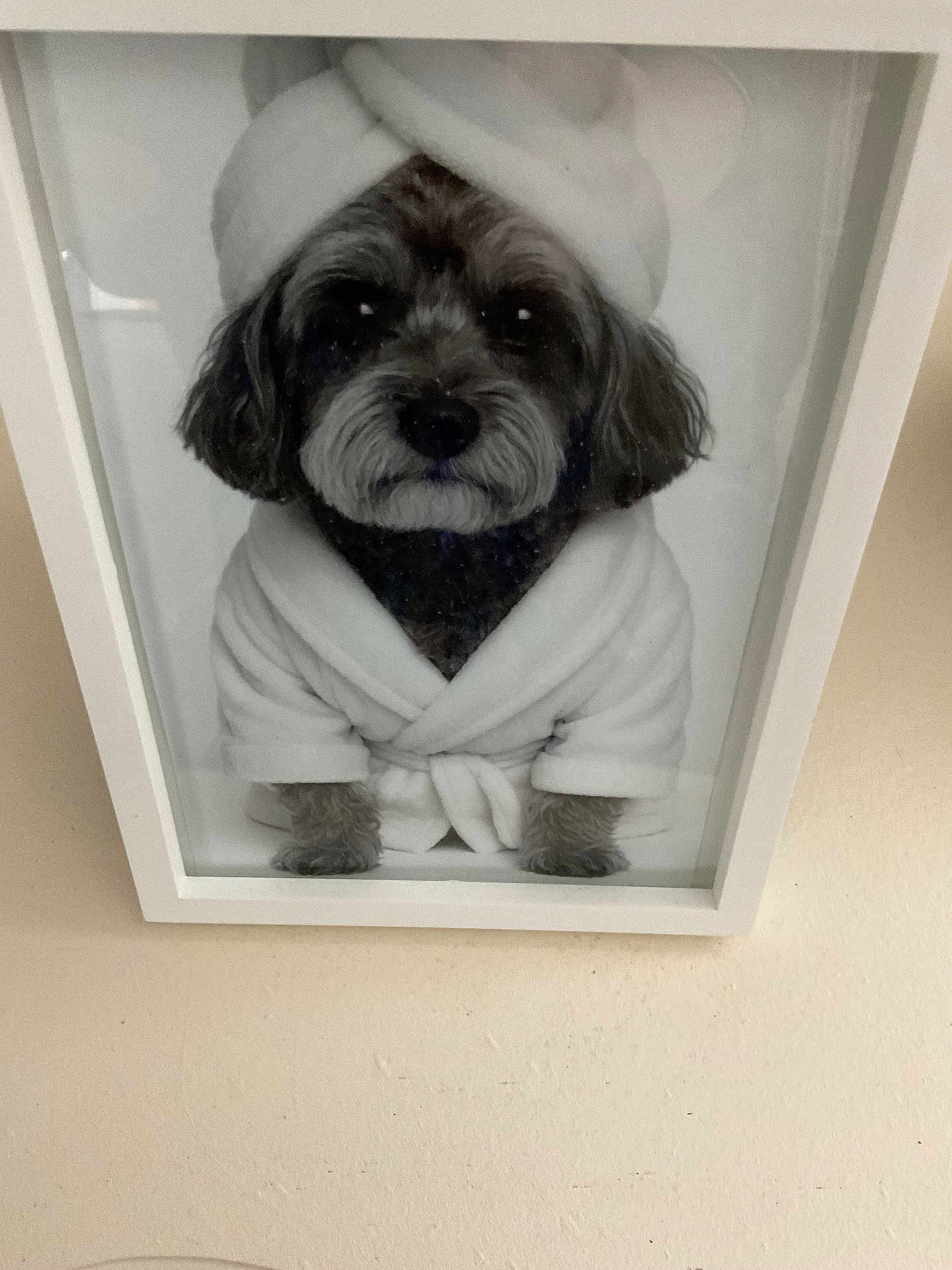Milo
