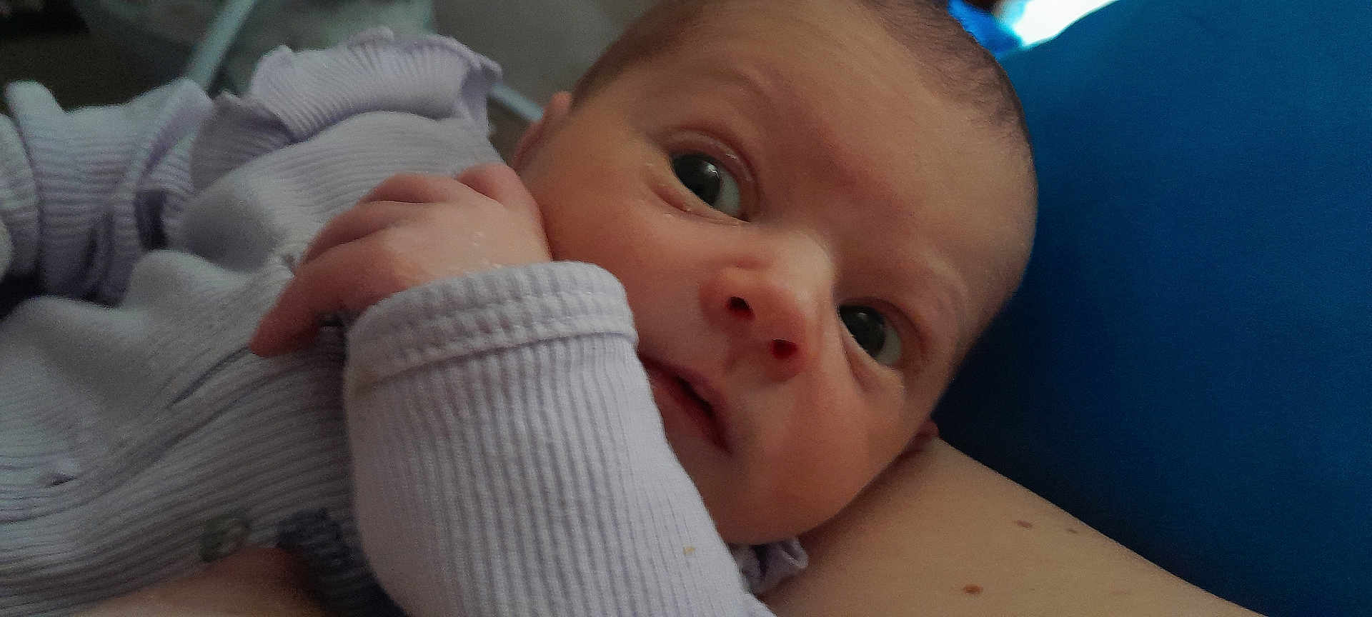 Angelina joined the competition — help win amazing prizes! baby, infant, face, hand, purple_clothing, closeup, skin, arm, blue_background, curious, wide_eyes, newborn, portrait, human, person, young_child, expression, resting, soft_fabric, indoor